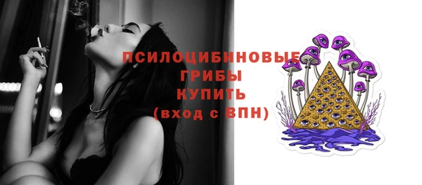 эйфоретик Богородск
