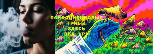 скорость Богданович