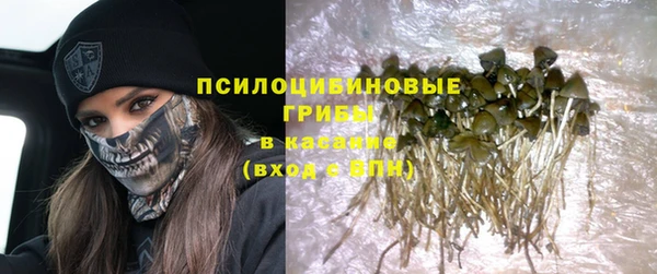 первитин Богородицк