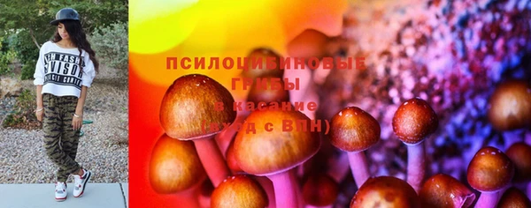 эйфоретик Богородск
