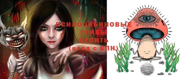 скорость Богданович